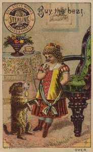 Menina, implorando, cão de American School