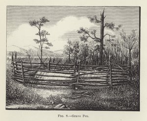 Caneta Grave de American School