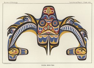 Haida Cachorro-peixe de American School