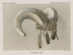 Vestido de cabeça de Aloska de American School
