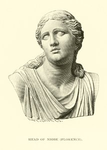 Chefe de Niobe, Florença de American School