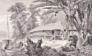 Casa de um rico colecionador de seringueiras da Índia, dos rios Amazonas e Madeira, de Franz Keller, 1874 de American School