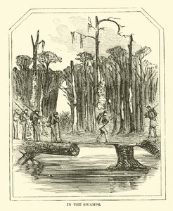 Nos pântanos, março de 1863 de American School