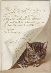 Gatinho escondido debaixo da carta de American School