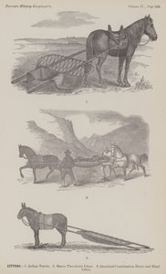 Ninhadas (gravura) de American School