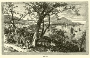 Macau de American School