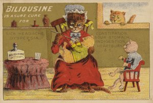 Tempo de Medicina para os Gatos de American School