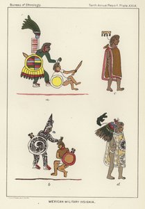 Insígnias militares mexicanas de American School