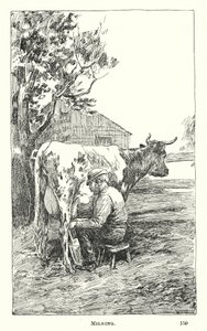 Ordenha (gravura) de American School