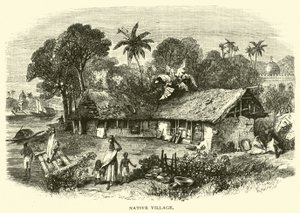 Aldeia nativa de American School