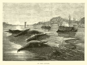 No Ganges de American School