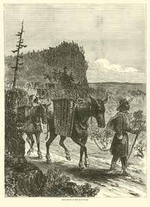 Pack-mulas nas montanhas, fevereiro de 1863 de American School