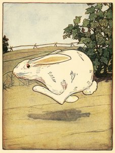 Peter nunca parou de correr, de The Tale of Peter Rabbit de American School