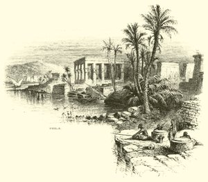 Philae de American School