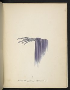 Placa 8. Uma mão esquelética. Spectropia; ou, Surpreendentes ilusões espectrais mostrando fantasmas por toda a parte, e de qualquer cor, etc. ser. 1. J.H. Brown 1864 de American School