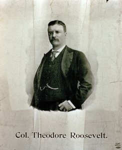 Retrato do Coronel Theodore Roosevelt de American School