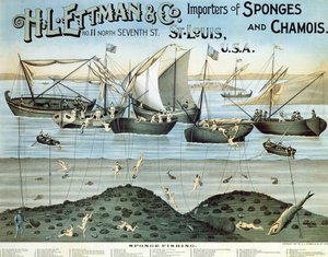Cartaz publicitário HL Ettman & Co., importadores de esponjas e camurça, 1897