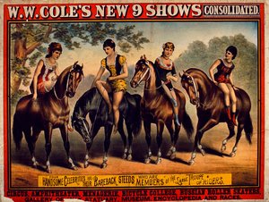 Cartaz publicitário WW Coles New 9 Shows Consolidated