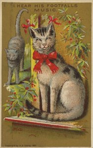Gato De Sorriso Orgulhoso. de American School