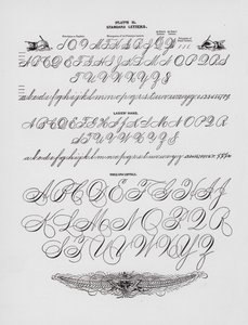 Cartas padrão; Mão de senhora; Capitais de braços inteiros (gravura) de American School