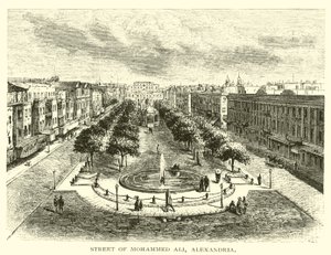 Rua de Mohammed Ali, Alexandria de American School