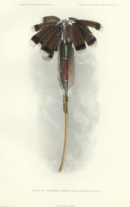 Espada de Thlewekwe (fraternidade dos engolidores de espadas) (litografia a cores) de American School