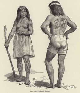 Haidas tatuado de American School