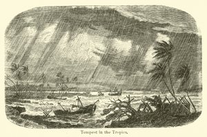 Tempestade nos Trópicos de American School