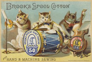 A banda do gato de American School