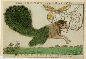 O zangão e pavão, ou, John Bull em perigo, 1813 (gravura com gravura) de American School