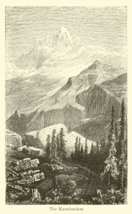 O Kaurisankar de American School