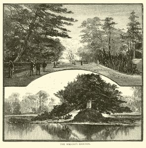 The Mikados Grounds de American School