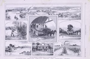 A Indústria de Açúcar da Louisiana de American School