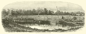O campo de trigo onde Reynolds caiu, julho de 1863 de American School