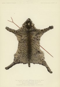 A pele de gato selvagem e a vara em forma de gancho sobre a qual são colocadas as duas hastes emplumadas durante o repouso cerimonial (litografia a cores) de American School