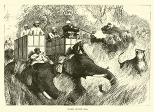 Caça ao Tigre de American School