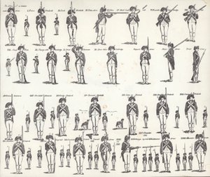Manual de Armas dos EUA (litho) de American School