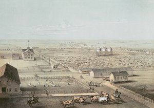 Union Stockyards, Chicago de American School