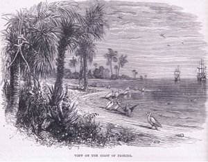 Vista da costa da Flórida, ilustração de Cassell