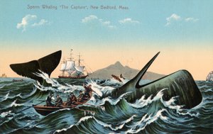Baleeiros Harpooning a Sperm Whale Off New Bedford, Massachusetts de American School