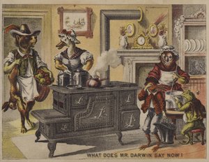 O que é que o Sr. Darwin diz agora? (chromolitho) de American School