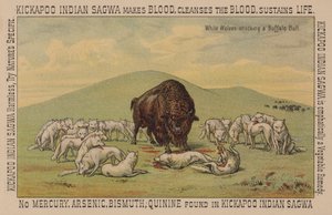 Lobos brancos atacando um touro de búfalo de American School