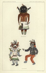 Wukokoti, Kohonino (litografia a cores) de American School
