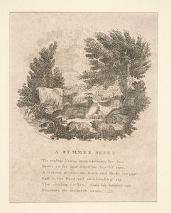 Uma Cena de Verão (com verso)