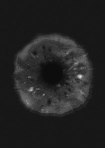 Olho Cósmico de Amy Louise Baker