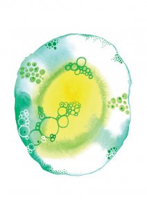 Bolhas de fluido orgânico de Amy Louise Baker