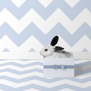 Coelhinhos 06, 2018 (fotografia) de Ana Carolina Tavares Mizrahi