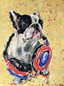 Frenchie com auscultadores