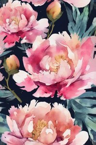 Aquarela de peónias cor-de-rosa