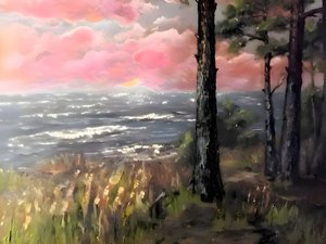 Céu Rosa, Oceano e Pôr do Sol